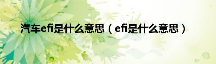 汽车efi是什么意思（efi是什么意思）