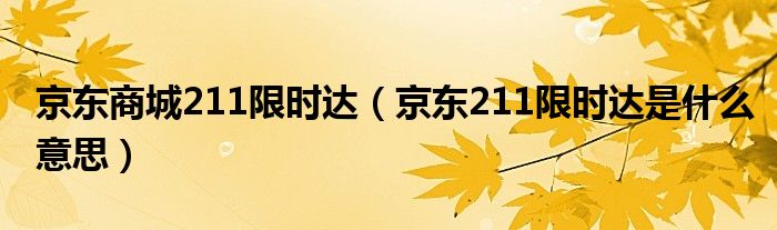 京东商城211限时达（京东211限时达是什么意思）