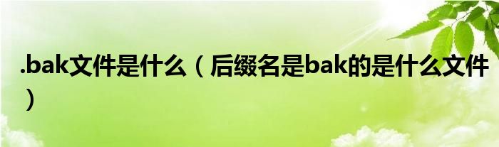 .bak文件是什么（后缀名是bak的是什么文件）