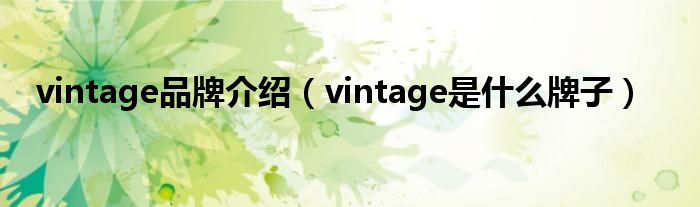 vintage品牌介绍（vintage是什么牌子）