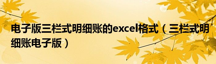 电子版三栏式明细账的excel格式（三栏式明细账电子版）