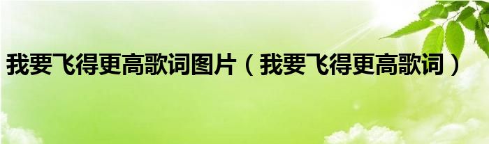 我要飞得更高歌词图片（我要飞得更高歌词）