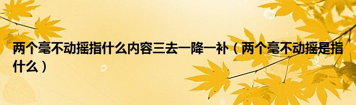 两个毫不动摇指什么内容三去一降一补（两个毫不动摇是指什么）