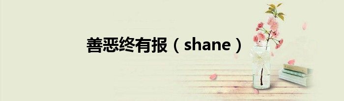 善恶终有报（shane）