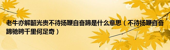 老牛亦解韶光贵不待扬鞭自奋蹄是什么意思（不待扬鞭自奋蹄驰骋千里何足奇）