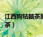 江西狗牯脑茶属于什么茶（狗牯脑茶属于什么茶）