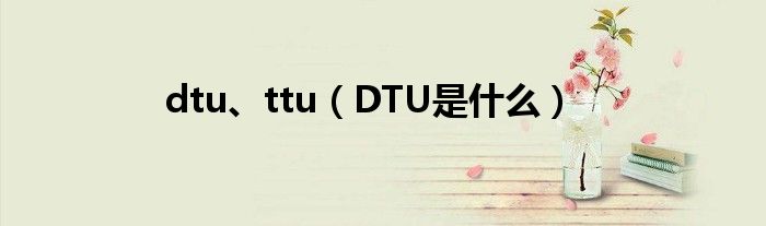 dtu、ttu（DTU是什么）