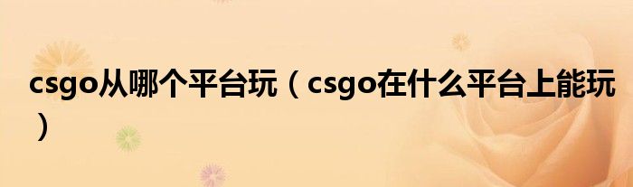 csgo从哪个平台玩（csgo在什么平台上能玩）