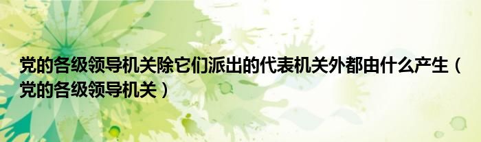 党的各级领导机关除它们派出的代表机关外都由什么产生（党的各级领导机关）