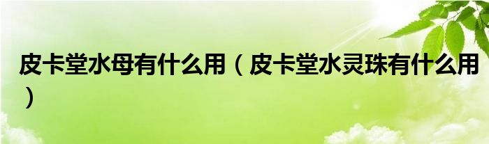 皮卡堂水母有什么用（皮卡堂水灵珠有什么用）