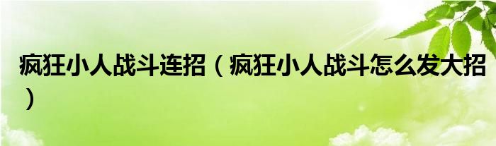 疯狂小人战斗连招（疯狂小人战斗怎么发大招）