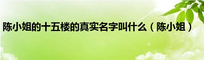 陈小姐的十五楼的真实名字叫什么（陈小姐）