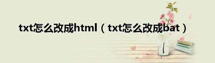 txt怎么改成html（txt怎么改成bat）