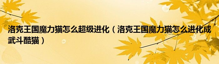 洛克王国魔力猫怎么超级进化（洛克王国魔力猫怎么进化成武斗酷猫）