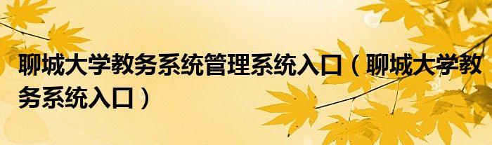 聊城大学教务系统管理系统入口（聊城大学教务系统入口）