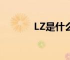 LZ是什么柱子?（lz是什么柱）