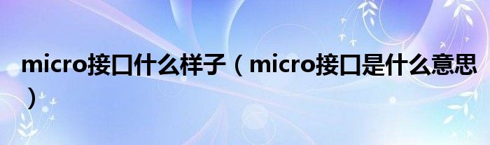 micro接口什么样子（micro接口是什么意思）