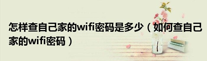 怎样查自己家的wifi密码是多少（如何查自己家的wifi密码）