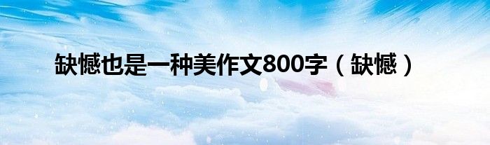 缺憾也是一种美作文800字（缺憾）