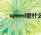 speed是什么意思（spell是什么意思）