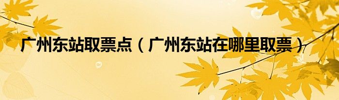 广州东站取票点（广州东站在哪里取票）