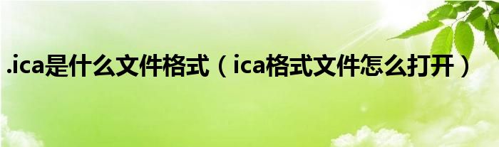 .ica是什么文件格式（ica格式文件怎么打开）