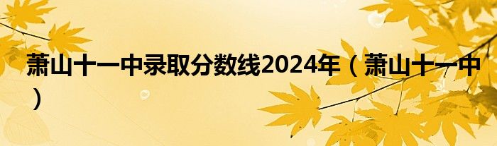 萧山十一中录取分数线2024年（萧山十一中）