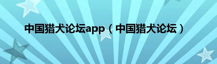 中国猎犬论坛app（中国猎犬论坛）