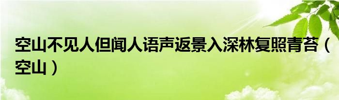 空山不见人但闻人语声返景入深林复照青苔（空山）