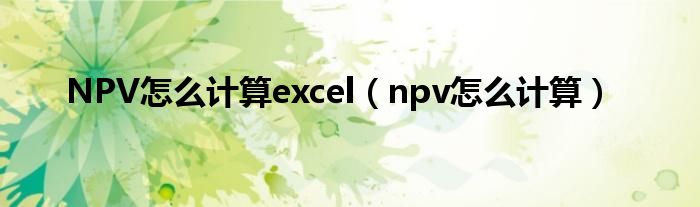 NPV怎么计算excel（npv怎么计算）