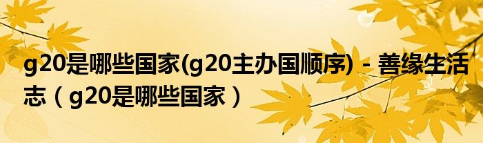 g20是哪些国家(g20主办国顺序) - 善缘生活志（g20是哪些国家）