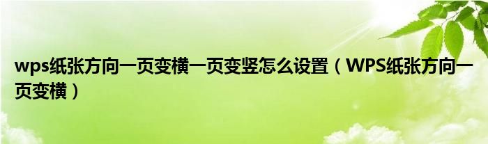 wps纸张方向一页变横一页变竖怎么设置（WPS纸张方向一页变横）