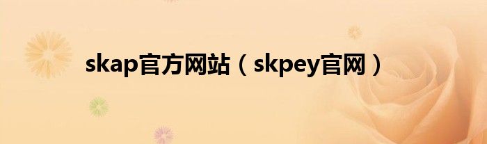 skap官方网站（skpey官网）