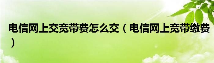 电信网上交宽带费怎么交（电信网上宽带缴费）