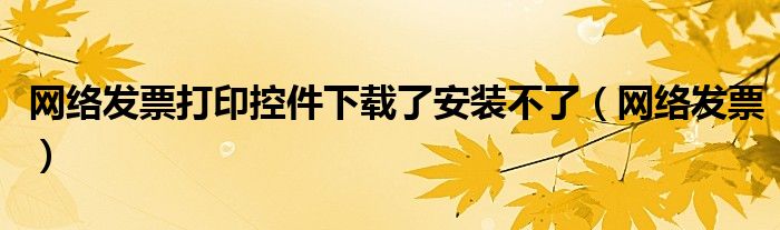 网络发票打印控件下载了安装不了（网络发票）