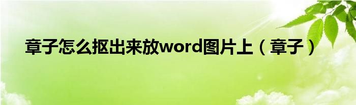 章子怎么抠出来放word图片上（章子）