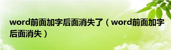 word前面加字后面消失了（word前面加字后面消失）