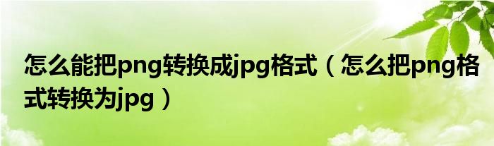 怎么能把png转换成jpg格式（怎么把png格式转换为jpg）