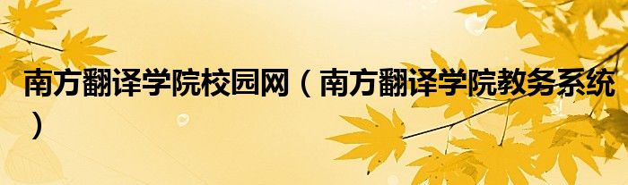 南方翻译学院校园网（南方翻译学院教务系统）