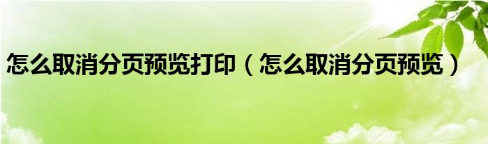 怎么取消分页预览打印（怎么取消分页预览）