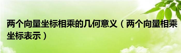 两个向量坐标相乘的几何意义（两个向量相乘坐标表示）