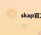 skap官方网站（skpey官网）