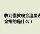 收到借款现金流量表入哪（现金流量表取得借款所收到的现金指的是什么）