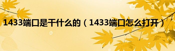 1433端口是干什么的（1433端口怎么打开）