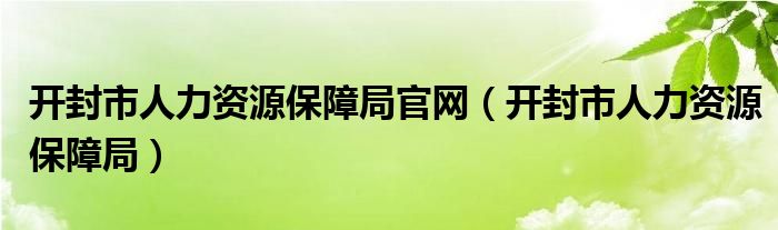 开封市人力资源保障局官网（开封市人力资源保障局）