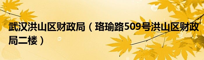 武汉洪山区财政局（珞瑜路509号洪山区财政局二楼）