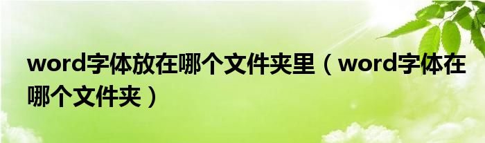 word字体放在哪个文件夹里（word字体在哪个文件夹）