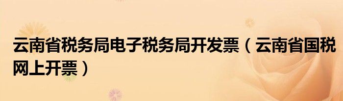 云南省税务局电子税务局开发票（云南省国税网上开票）