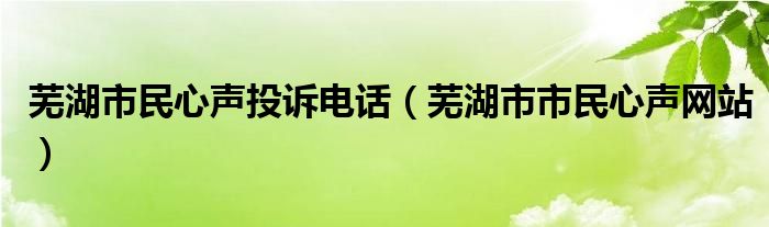 芜湖市民心声投诉电话（芜湖市市民心声网站）