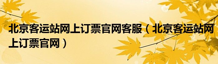 北京客运站网上订票官网客服（北京客运站网上订票官网）